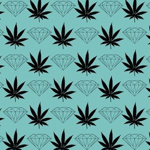 Meet your Posher, Yibanny